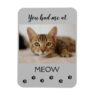 Editable hatten Sie mich am Meow Magnet