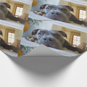 Editable Hund Browns Pitbull Geschenkpapier (Ecke)