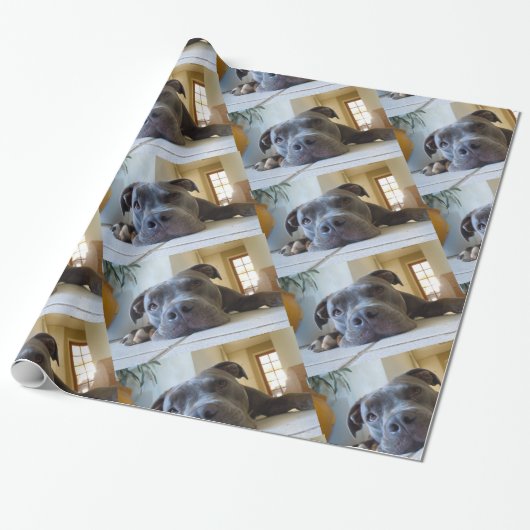 Editable Hund Browns Pitbull Geschenkpapier (Ungerollt)