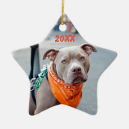 Editable Hund mit Bandana Keramikornament
