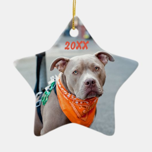 Editable Hund mit Bandana Keramikornament (Vorne)