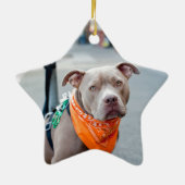 Editable Hund mit Bandana Keramikornament (Hinten)