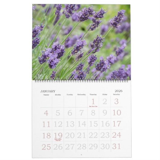 Editable Lovely Lavender Kalender (Jan 2026)