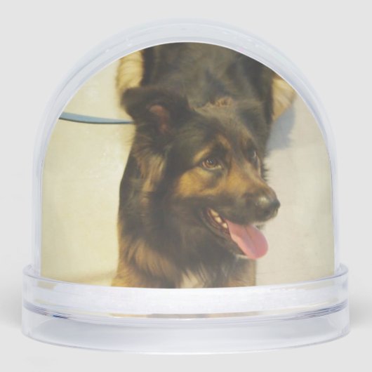 Editable Pet Photo Name and Dates Schneekugeln (Vorderseite)