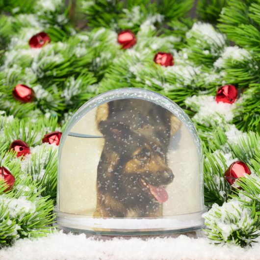 Editable Pet Photo Name and Dates Schneekugeln (Weihnachten)