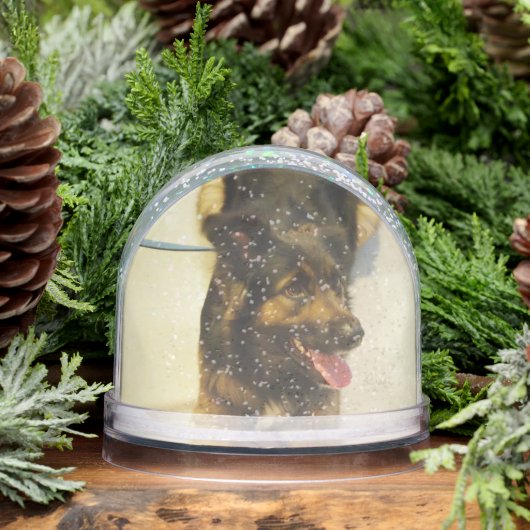 Editable Pet Photo Name and Dates Schneekugeln (Winter)