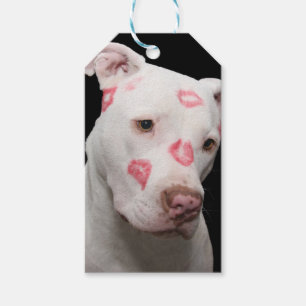 Editable Pitbull Liebhaber Geschenkanhänger