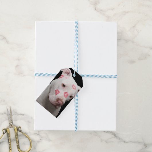 Editable Pitbull Lover Geschenkanhänger (Mit Garn)