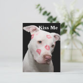 Editable Pitbull Lover Postkarte (Stehend Vorderseite)