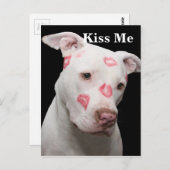 Editable Pitbull Lover Postkarte (Vorne/Hinten)