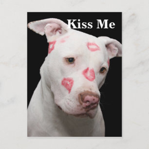 Editable Pitbull Lover Postkarte