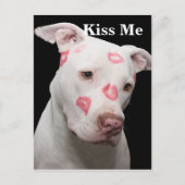 Editable Pitbull Lover Postkarte (Vorderseite)