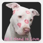 Editable Pitbull Lover Quadratischer Aufkleber (Vorderseite)