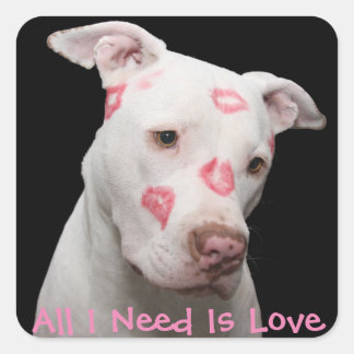 Editable Pitbull Lover Quadratischer Aufkleber