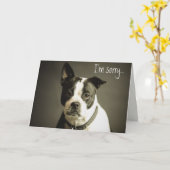 Editable Sad Hund Apology Karte (Gelbe Blume)