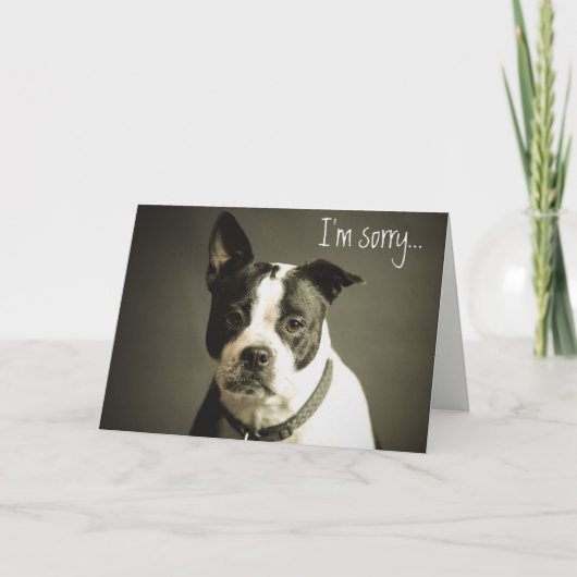 Editable Sad Hund Apology Karte (Vorderseite)