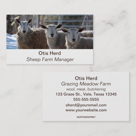 Editable Sheep Bauer Buttons Visitenkarte (Vorne/Hinten)