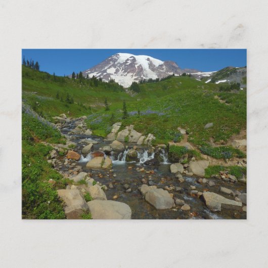 Edith Creek auf dem Monte Rainier Postkarte (Vorderseite)