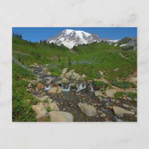 Edith Creek im Mount Rainier National Park Postkarte