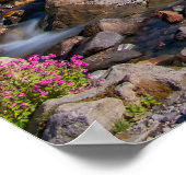 Edith Creek und Rainier Morning Light Poster (Ecke)