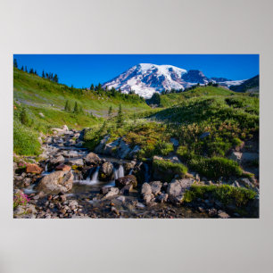 Edith Creek und Rainier Morning Light Poster