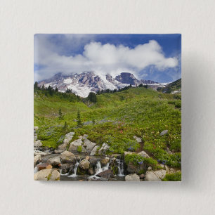 Edith Creek und Wiesen mit Wildblumen bei Paradise Button