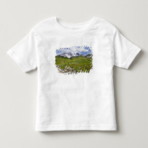 Edith Creek und Wiesen mit Wildblumen bei Paradise Kleinkind T-shirt