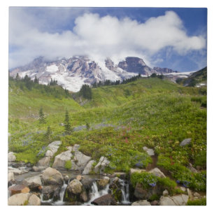 Edith Creek und Wildblume im Paradies Fliese