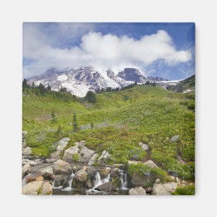 Edith Creek und Wildblume Wiesen im Paradise Magnet