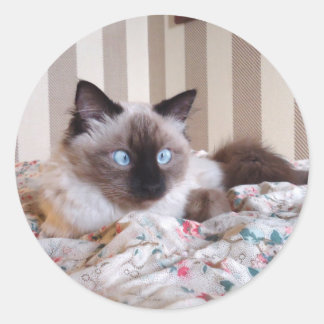 Edith Runder Aufkleber