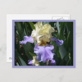 Edith Wolford Postkarte (Vorne/Hinten)