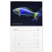 Editierbare tropische Fische Kalender (Jan 2027)