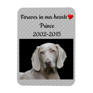 Editierbares Grau für immer in unserem Hearts Pet Magnet