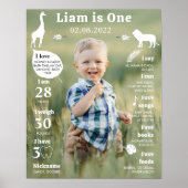 Editierbares Modern 1. Geburtstag Foto Milestone Z Poster (Vorne)