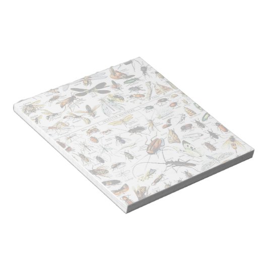 Editor für Adolphe Millot-Insekten Notizblock (angewinkelt)