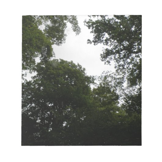 Editor für Creepy Forest Notizblock (Vorderseite)