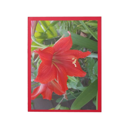 Editor mit hellroter Blume Notizblock (Rotiert)