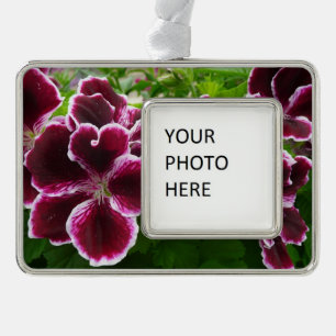 Edle Malvenfarbene Blumen der Pelargonien Rahmen-Ornament Silber