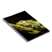 Edles Leguan-Notizbuch Notizblock (Rechte Seite)