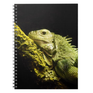 Edles Leguan-Notizbuch Notizblock