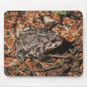 Edmonton, Alberta, Kanada 3 Mousepad