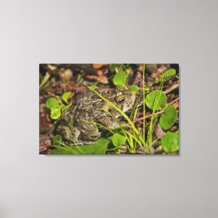 Edmonton, Alberta, Kanada Leinwanddruck