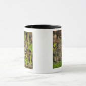Edmonton, Alberta, Kanada Tasse (Zentrum)