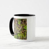 Edmonton, Alberta, Kanada Tasse (Vorderseite Links)
