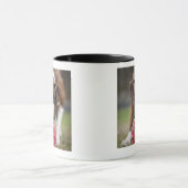 Edmonton Alberta Kanada Tasse (Zentrum)