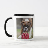 Edmonton Alberta Kanada Tasse (Links)