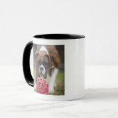 Edmonton Alberta Kanada Tasse (Vorderseite Links)
