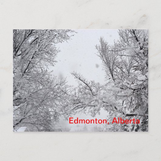 Edmonton, Alberta Winter Postkarte (Vorderseite)