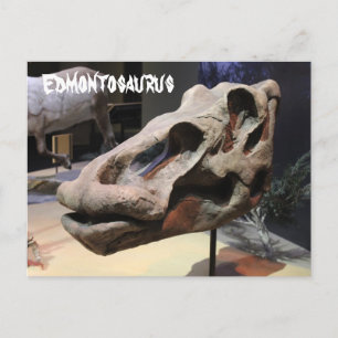Edmontosaurus Postkarte