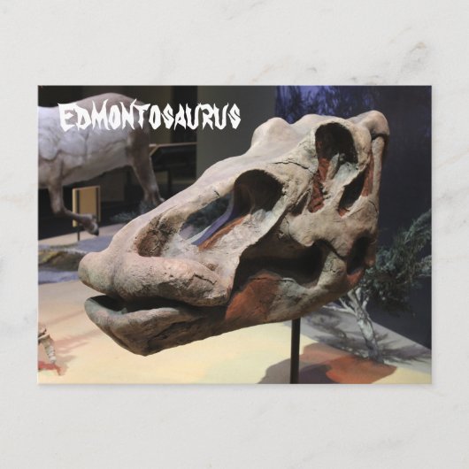 Edmontosaurus Postkarte (Vorderseite)